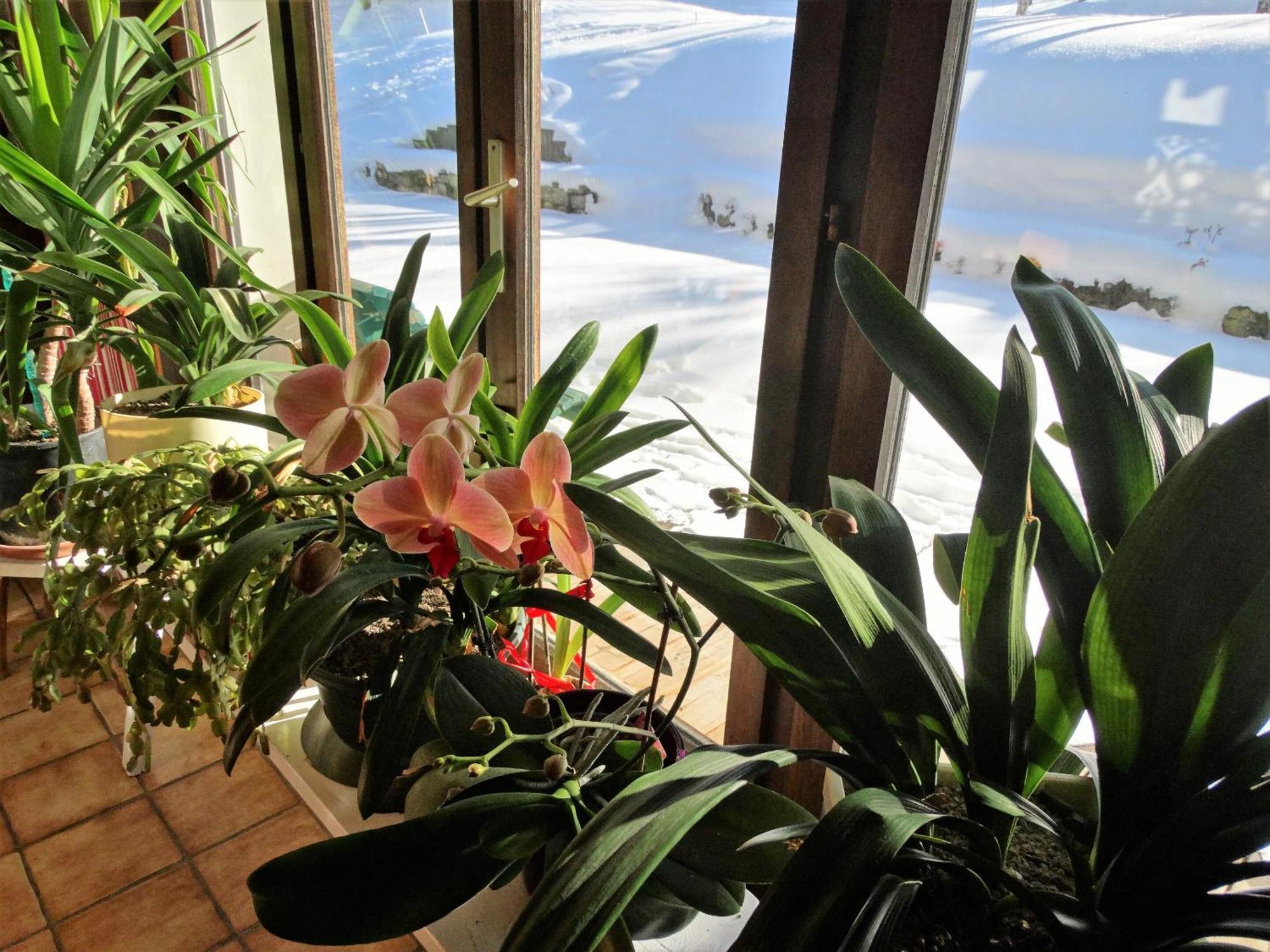 Le Bois Des Louison Hotel Seytroux Buitenkant foto